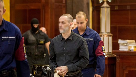 Gyurcsányék szerepét vizsgáltatná a romagyilkos