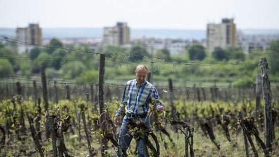 Csúcsra járt a héten a jégkármérséklő rendszer