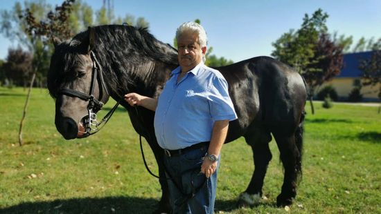 Országosan elismerik Nagy Ferencet és hidegvérű lovait