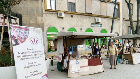 Tímárház, majd regionális népi kézműves alkotóház