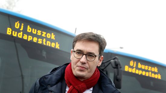 Szent tehénként kezelik a busztendert nyerő kamucéget