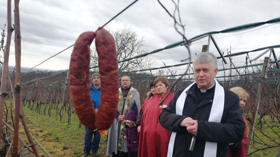 Akár online formában is megtartják a borversenyt Letenyén