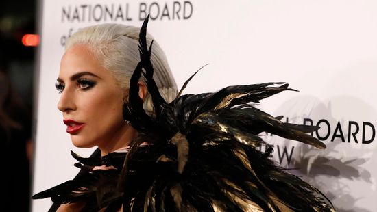 Lady Gaga hatalmas jutalmat ajánlott ellopott kutyáiért