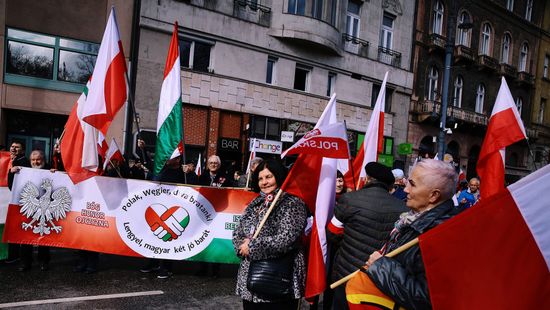 Lőszerrel, vérrel és bátorsággal segítette egymást a lengyel és a magyar