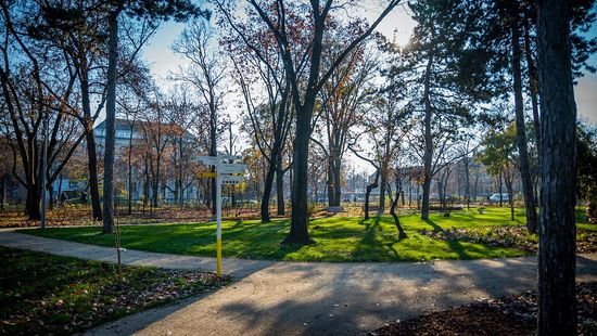 Csaknem nyolcvanezer négyzetméternyi parkfelület újul meg a Városligetben