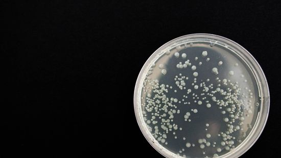 Eddig ismeretlen baktériumokat fedeztek fel a Nemzetközi Űrállomáson