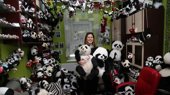Rekordot döntöttek a Kaposhomokra költöző pandák + videó