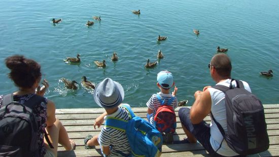 Helyitermék-kisbolttal készülnek a nyitásra Balatonlellén