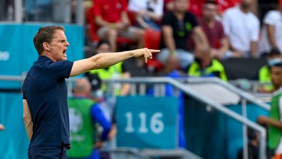 A hollandok máris megtalálták a felelőst az Eb-kudarcért