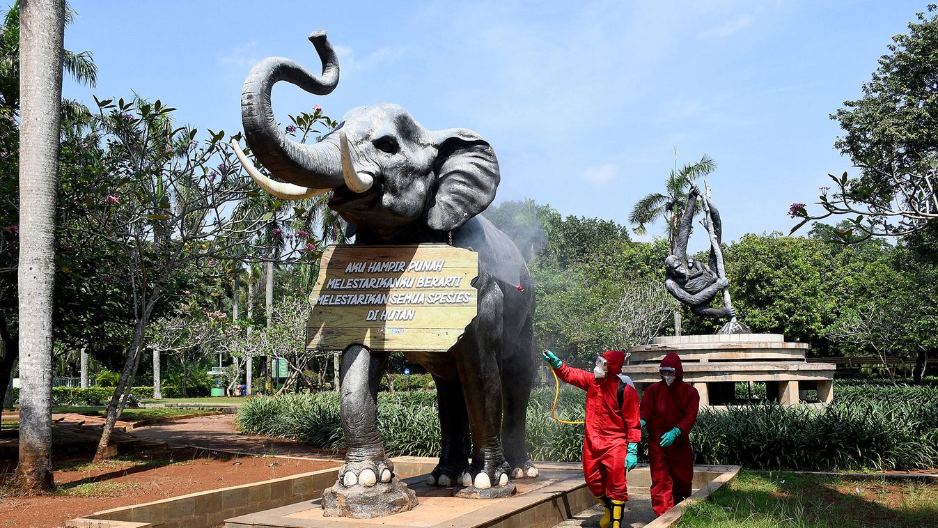 Jakarta Ragunan Zoo Prepares For Reopening