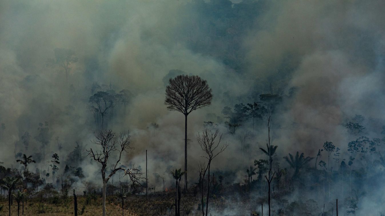Amazon fire in Brazil