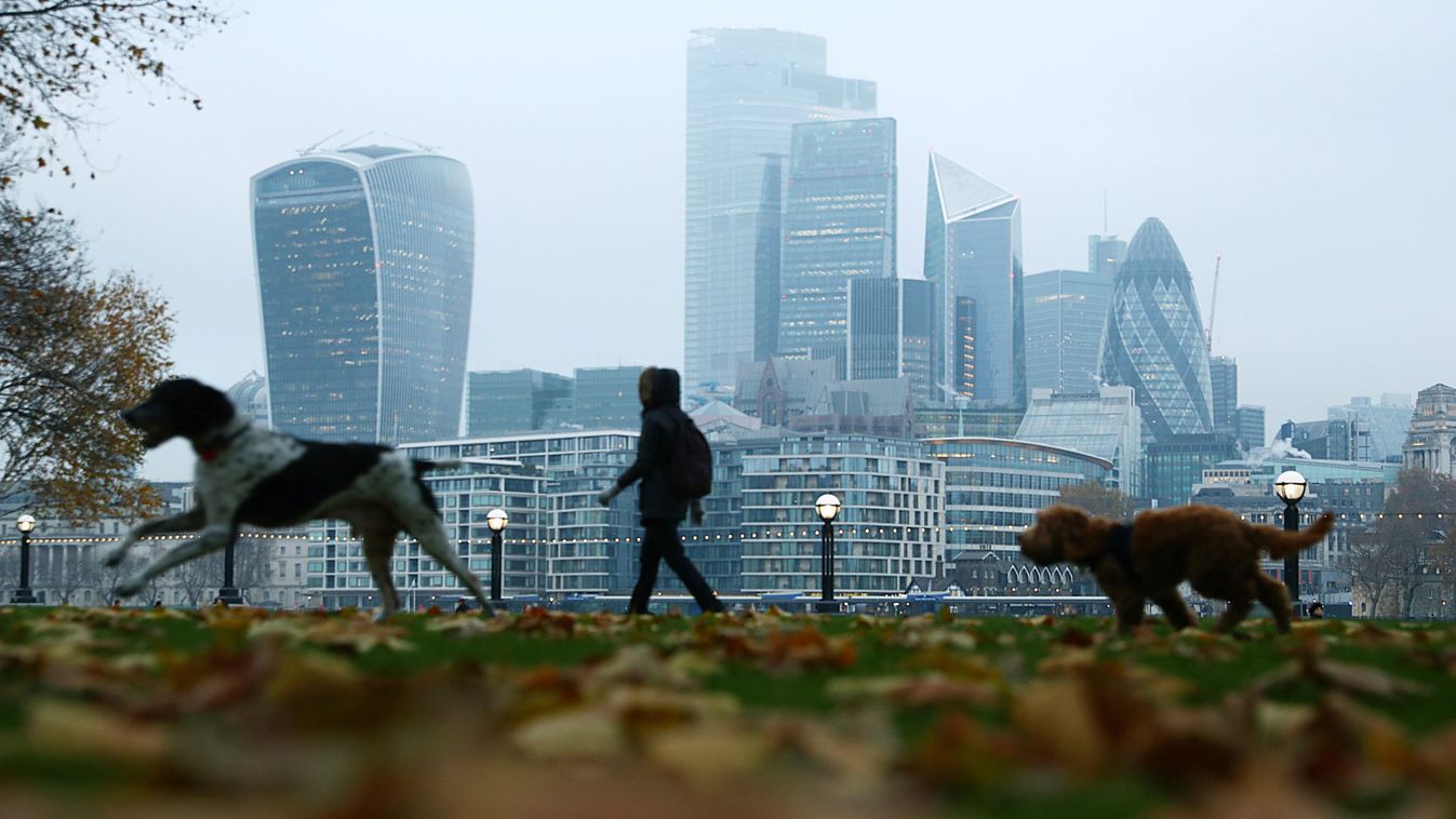 A man walks with dogs through autumnal leaves in front of the financial district in London