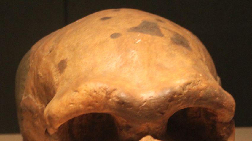 Sárkányember koponyájára bukkantak Kínában
