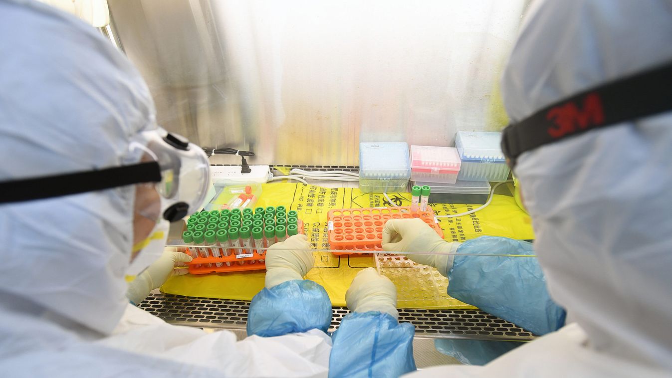 Workers in protective suits examine specimens inside a laboratory following an outbreak of the novel coronavirus in Wuhan