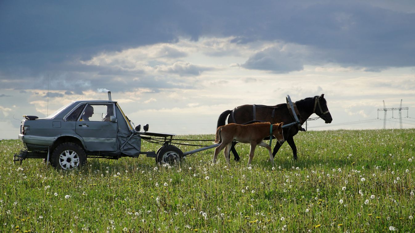 Belarusian shepherd Usikov drives a horse-drawn carriage in a field near the village of Slabodka
