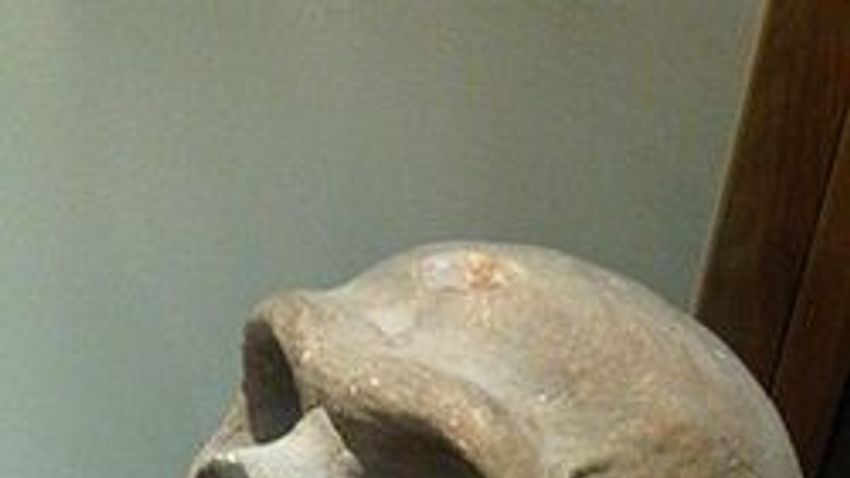 Neandervölgyi emberek maradványaira bukkantak