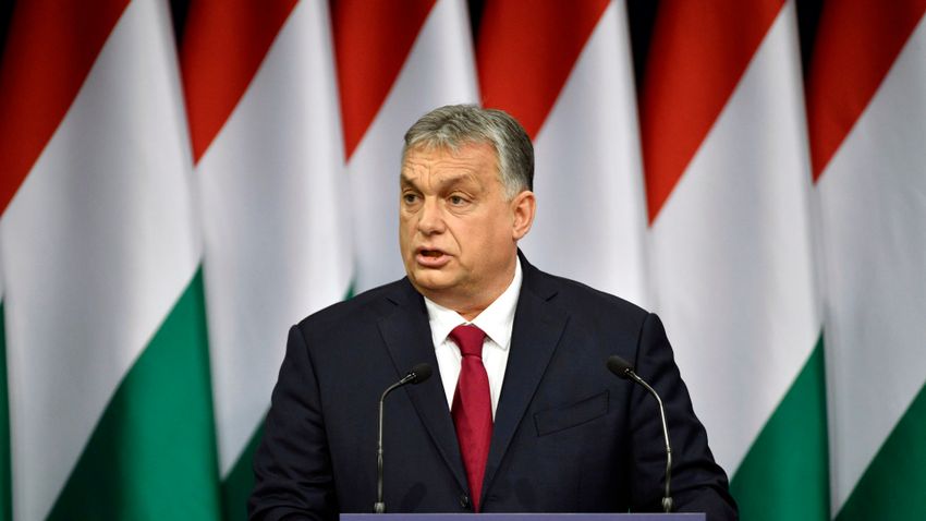 Orbán Viktor: Lebegj, mint egy pillangó, szúrj, mint egy méh!