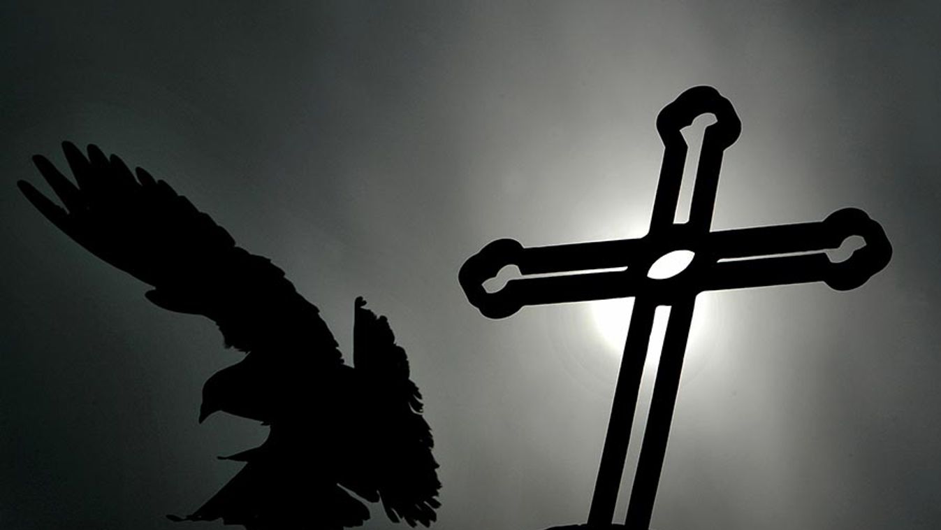 A pigeon flies past a metal cross at a Catholic church in Beijing.