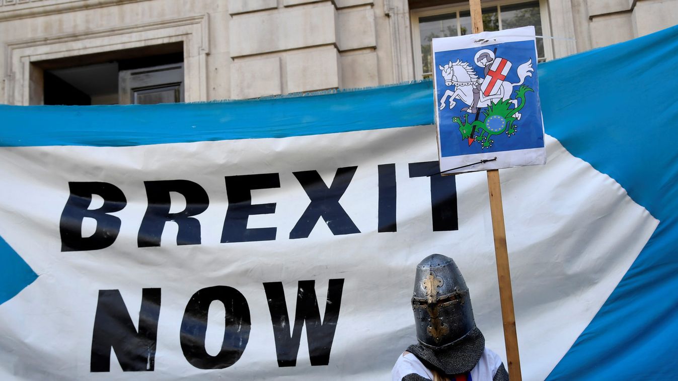 A pro-Brexit supporter holds a placard outside Cabinet Office in London