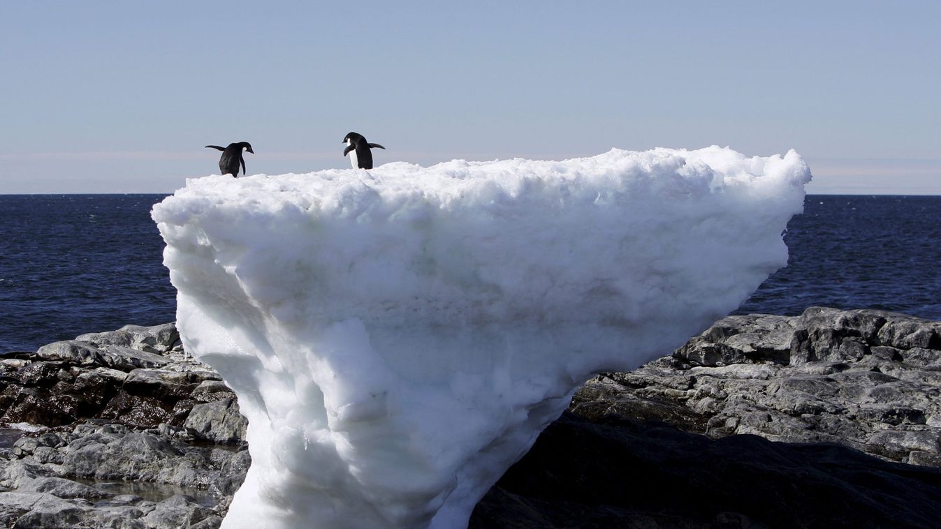 File photo shows two Adelie penguins standing atop a block of melting ice on a rocky shoreline at Cape Denison, Commonwealth Bay, in East Antarctica