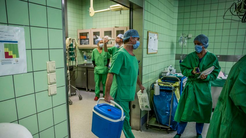 Folytatódnak a vírusjárvány miatt elhalasztott szervátültetések