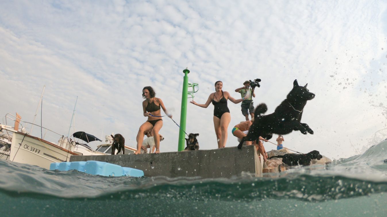 Dogs and their owners take part in the "Underdog 2019" beach race in Crikvenica