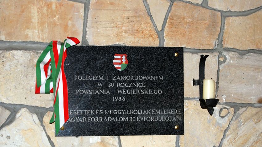 Fejezetek a lengyel–magyar barátság történetének ezer évéből