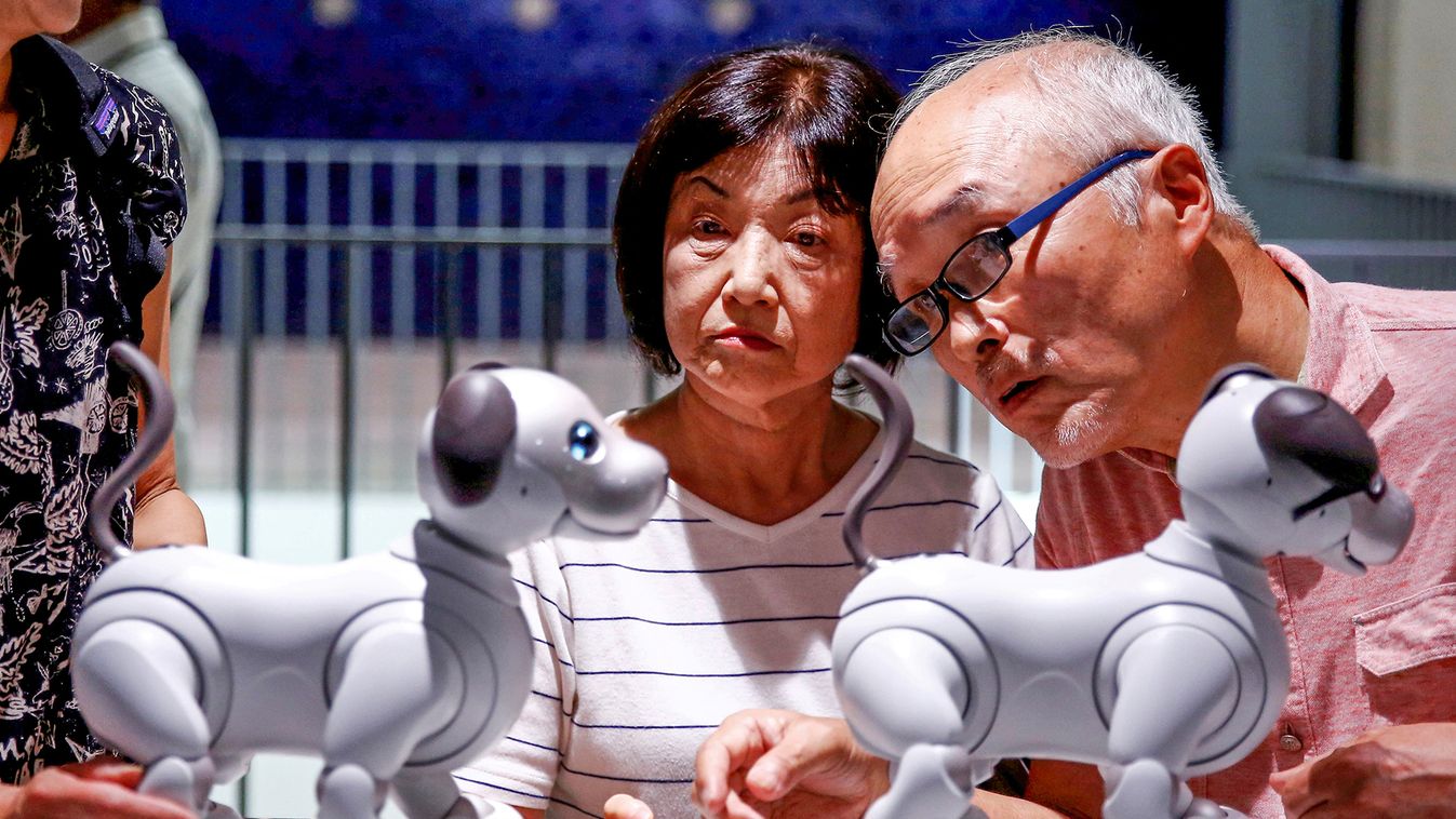 Owners of a AIBO robot dog look at another owner's AIBO robot at Sony Corp's entertainment robot AIBO's fan meeting in Tokyo