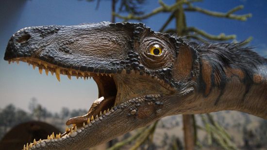 Melegvérű dinoszauruszok éltek az Északi-sarkkörön túl