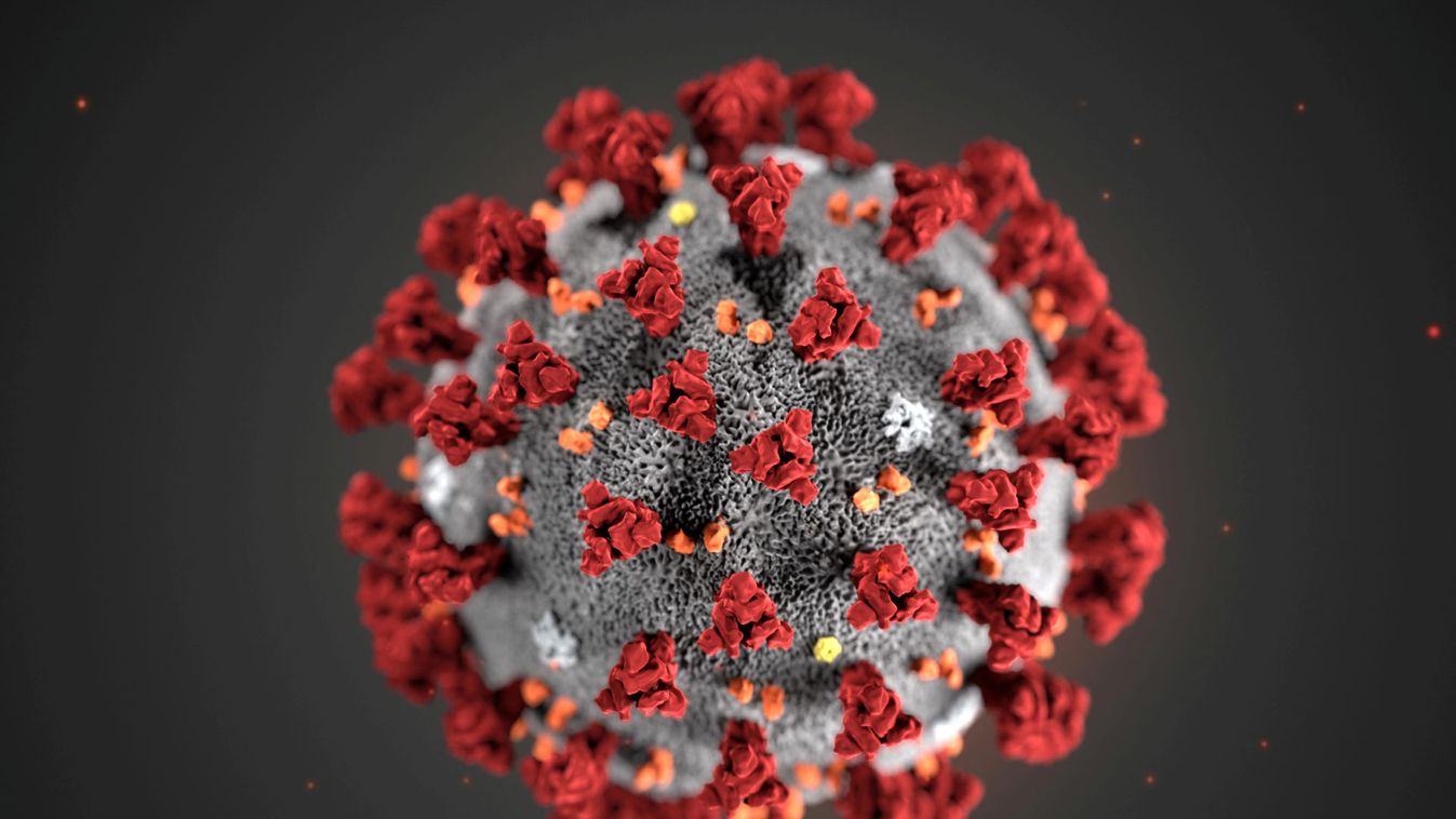 An illustration, created at the Centers for Disease Control and Prevention (CDC), depicts the 2019 Novel Coronavirus