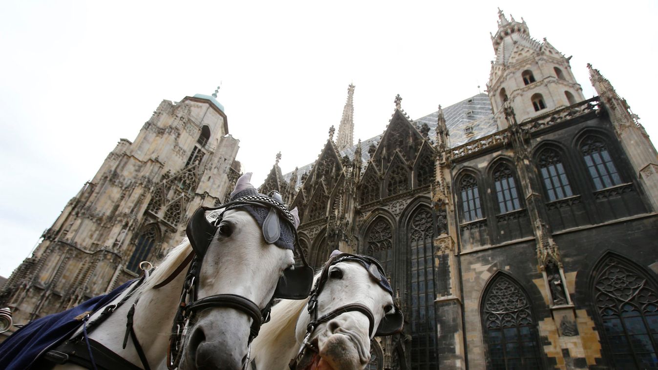 Traditional "Fiaker" horse carriages are parked in front of St. Stephen's cathedral waiting to pick up tourists for a sightseeing tour in Vienna