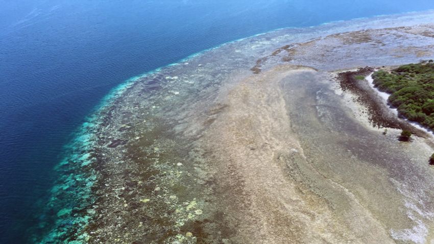 Rendkívüli veszélynek van kitéve az ausztrál Nagy-korallzátony