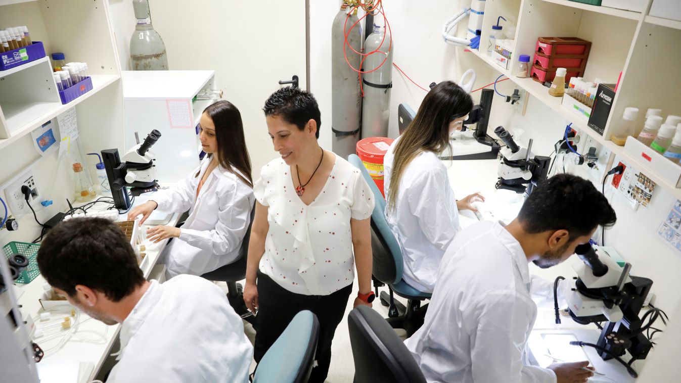 Galit Shohat-Ophir walks among researchers in a laboratory at the Bar-Ilan University, in Ramat Gan