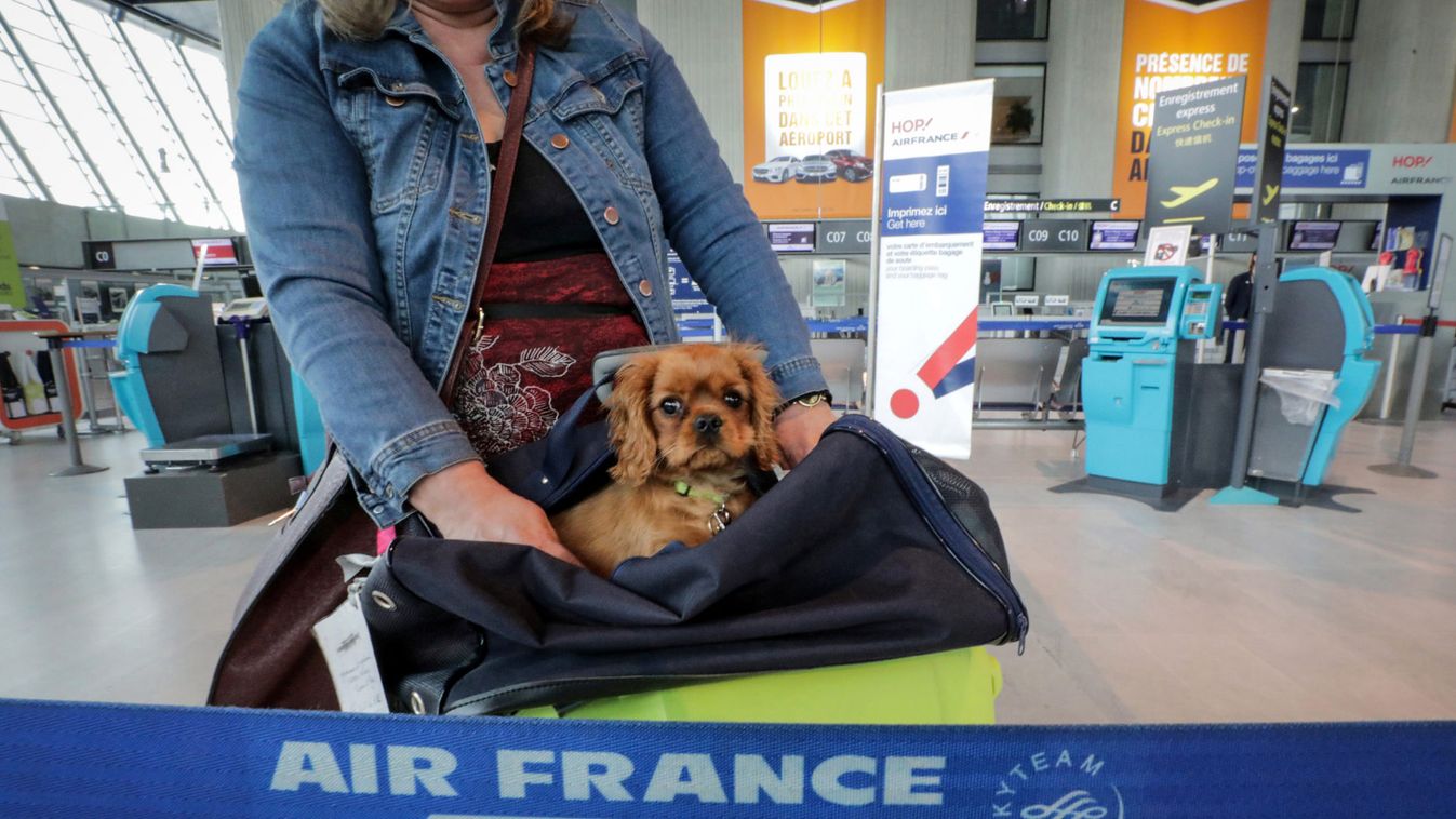 A passenger arrives with her dog at the Air France check in desk at Nice airport as Air France pilots, cabin and ground crews unions call for strike over salaries in France