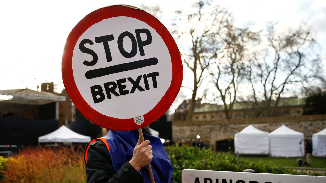 An Anti-Brexit protester is seen outside the Houses of Parliament