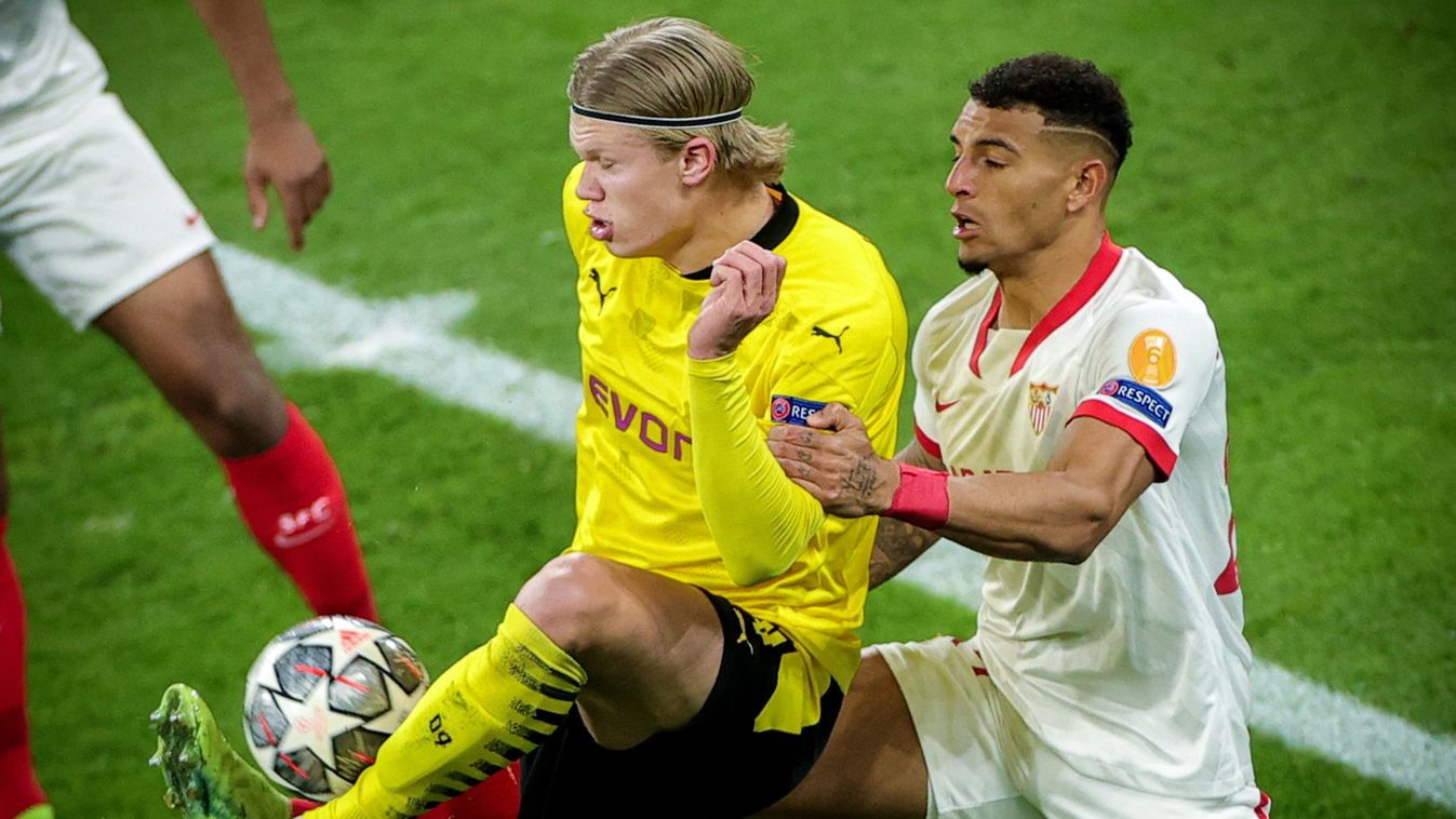 HAALAND, Erling