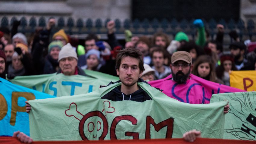 Brüsszel a GMO-lobbi érdekében ismét szembemenne a többséggel