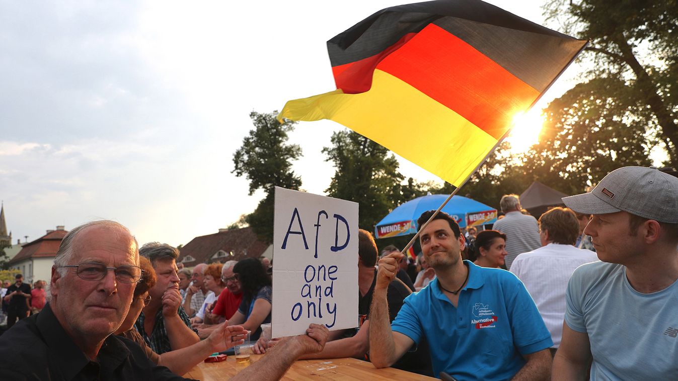 AfD election campaign in Brandenburg