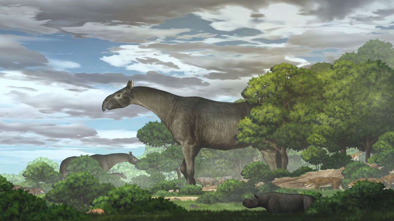 Handout image shows Paraceratherium linxiaense giant rhinos in the Linxia Basin during the Oligocene