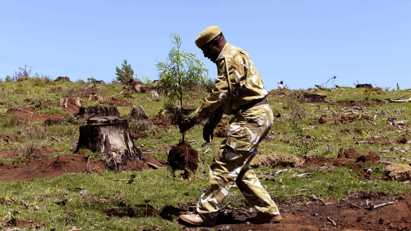 A KWS ranger plants a seedling at the Kaptunga station of the Mau Forest complex in the Kenyan Rift Valley