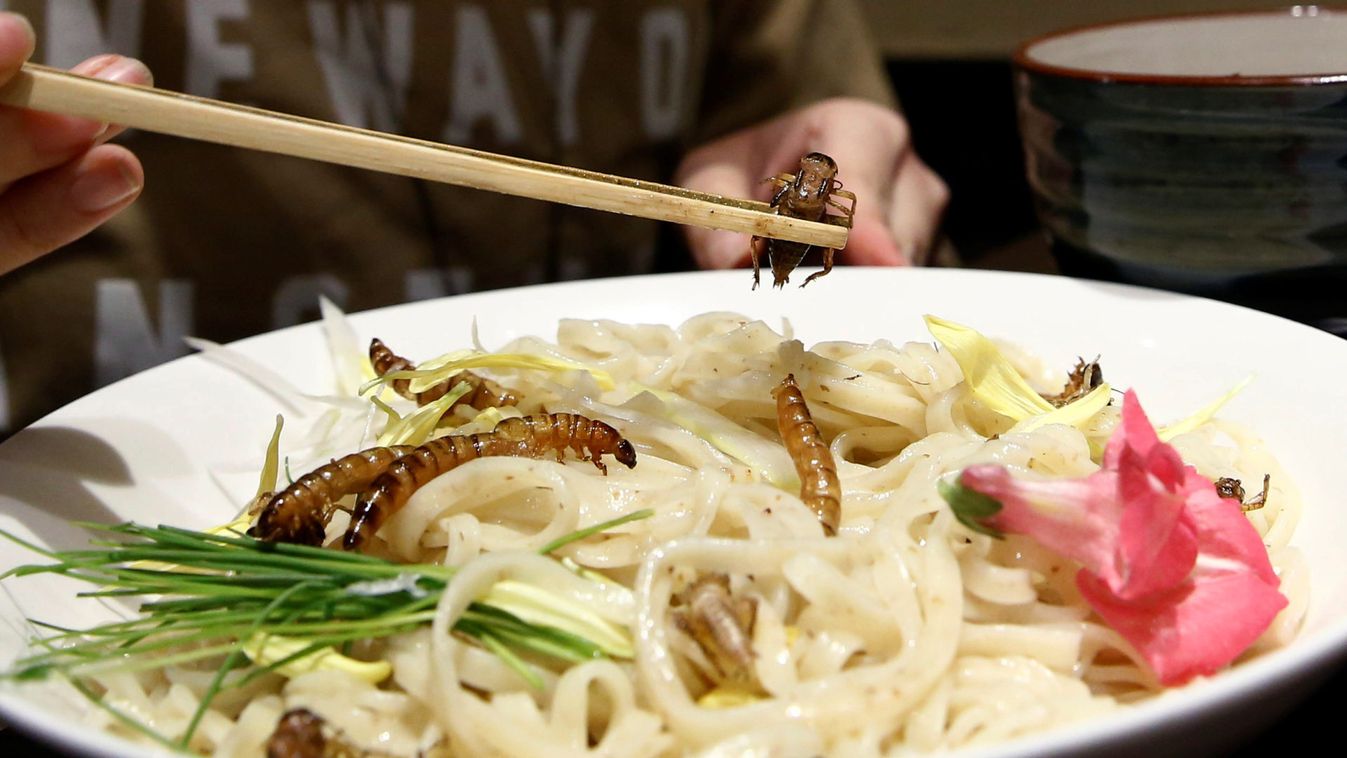 A customer eats an 'Insect tsukemen' ramen noodle topped with fried worms and crickets at 'Ramen Nagi' restaurant in Tokyo