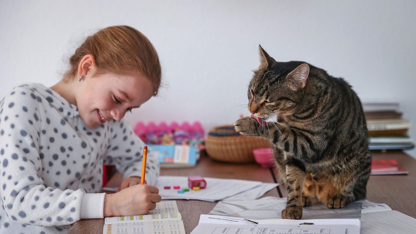 Kaethe Singer, accompanied by her cat, is studying at home during the spread of coronavirus disease (COVID-19) in Jugenheim