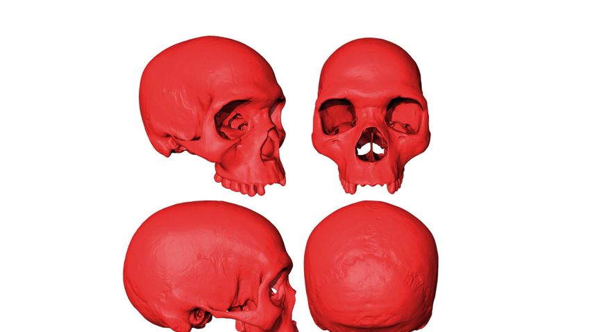 Ősi koponyát találtak a számítógépben