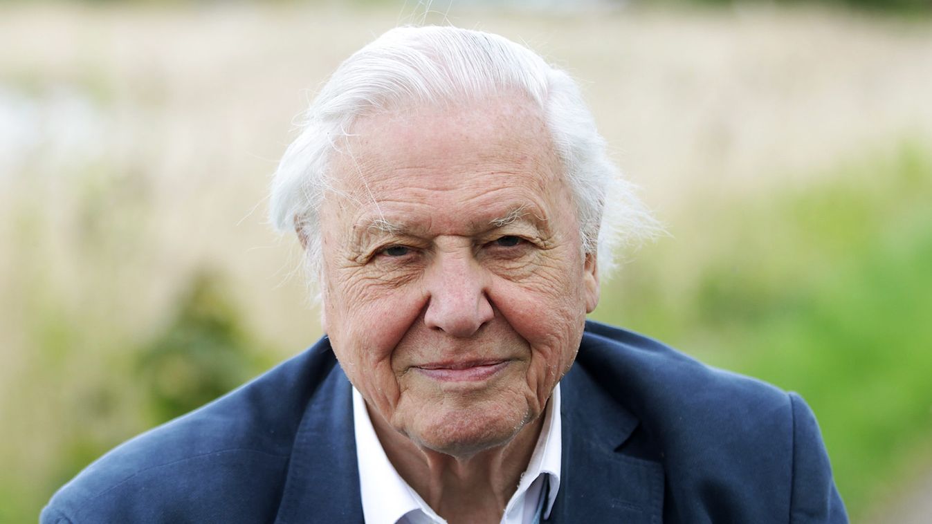 Sir David Attenborough Opens Woodberry Wetlands
