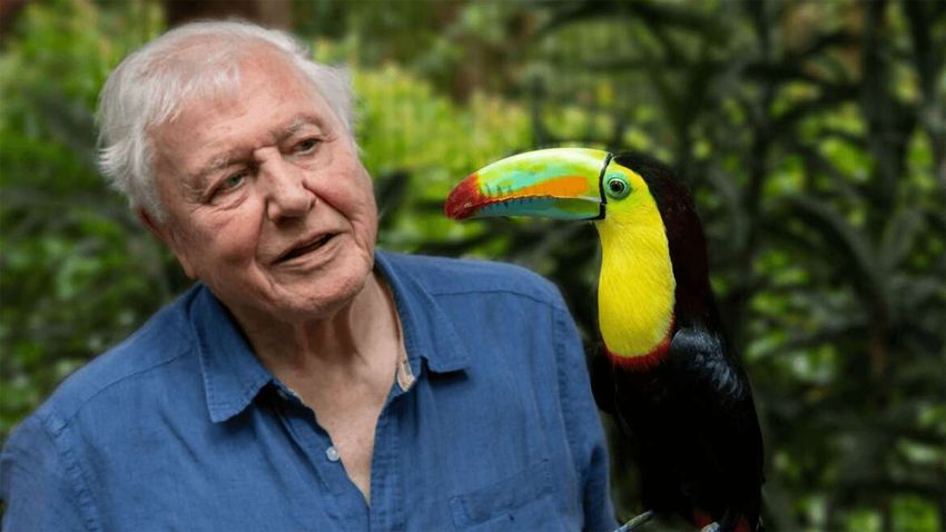 David Attenborough gyermeki rácsodálkozásra tanít