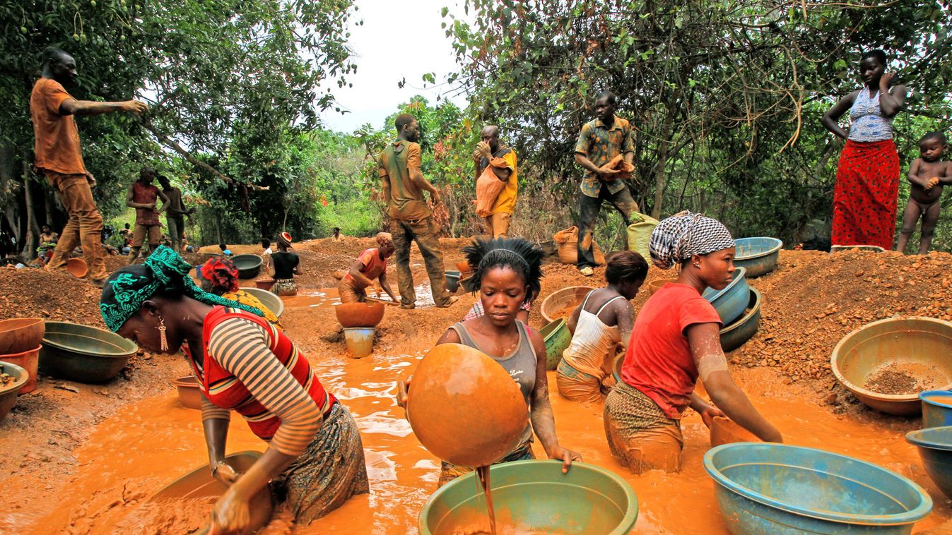 Prospectors pan for gold at a new gold mine found in a cocoa farm near the town of Bouafle in western Ivory Coast