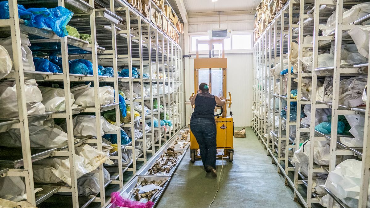 Ha szombat, akkor embervadászat — oknyomozó leplezi le a boszniai „szafarikat”
