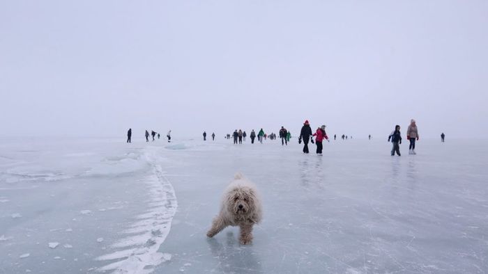 Balaton6