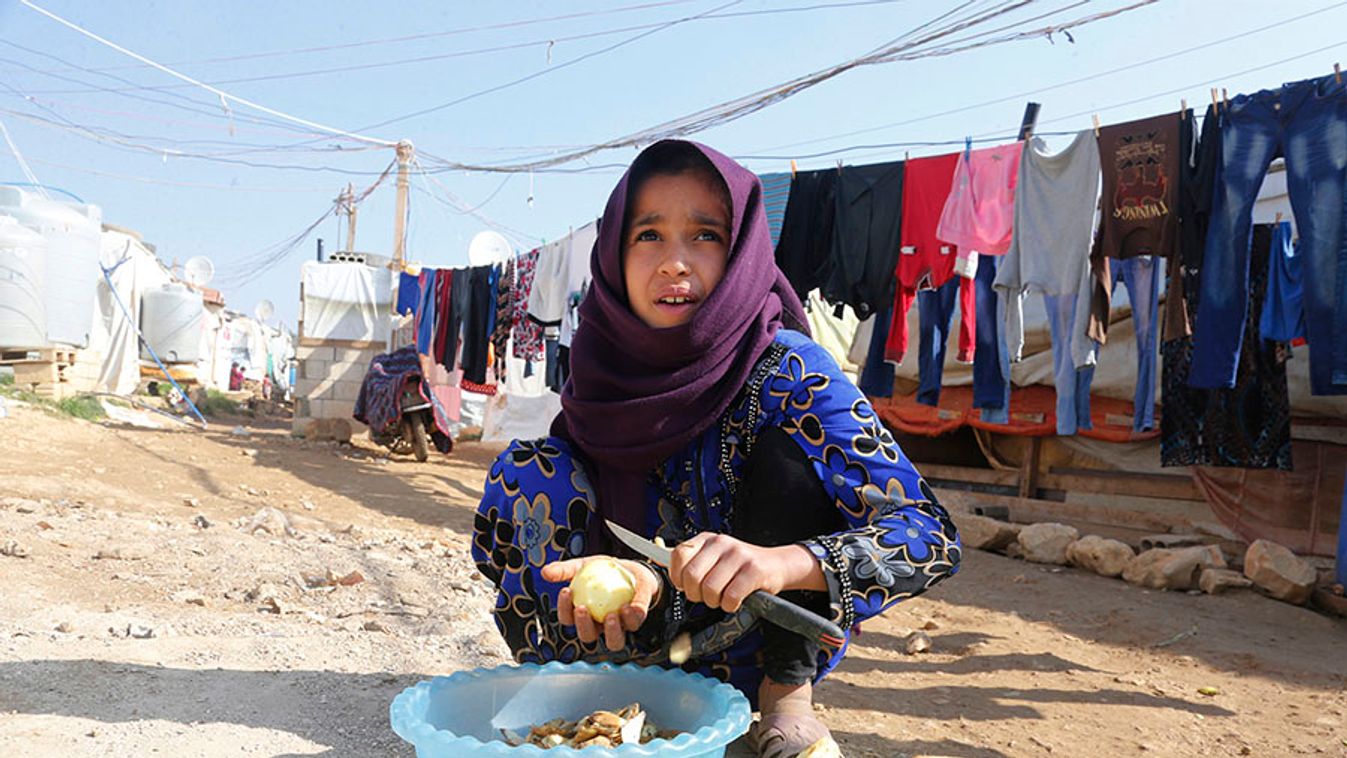A Syrian refugee peels potatoes at a refugee camp in Zahle in the Bekaa valley
