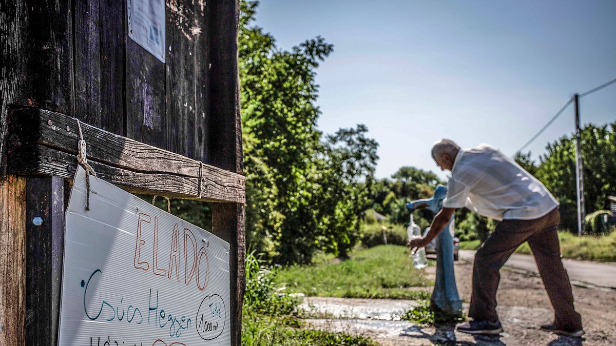 Vegyes a kép a zártkertek átminősítési lehetősége kapcsán